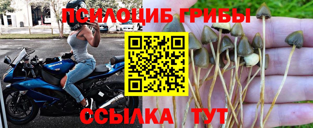 Псилоцибиновые грибы мухоморы  Галлюциногенные грибы GOLDEN TEACHER  Назарово  Вход с VPN 